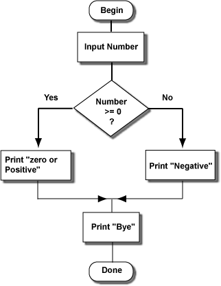 two way decision in a program