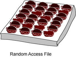 random access file