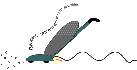 Vacuum Cleaner