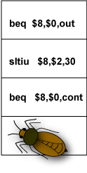 picture of a bug in the delay slot